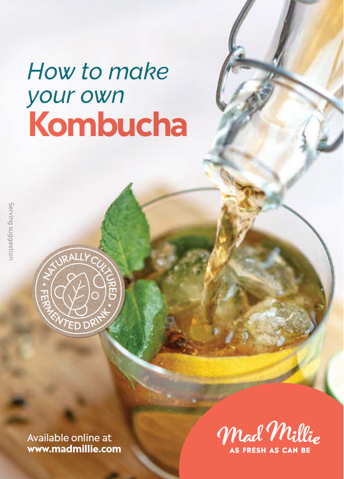 How to Guide Kombucha Mad Millie